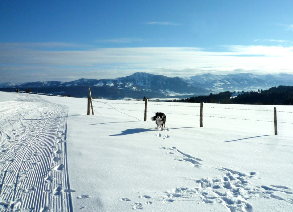 Winterwanderweg & Loipe in Rieggis
